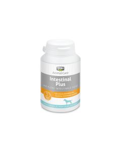 Complément alimentaire naturel grau INTESTINAL Plus flore intestinale