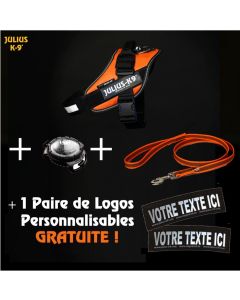 Coffret Harnais Julius VISIBILITÉ personnalisé + Nom du chien OFFERT!