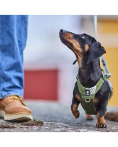 Harnais anti-traction en Y Hurtta Seeker pour chien poignée et anneau