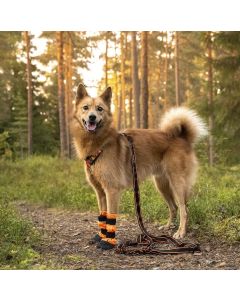 Laisse pour chien extensible Arctic Wolf POWER 236-278 cm noire et orange