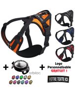 Promotion Coffret Harnais Julius-K9 IDC®Longwalk + Lampe LED orbiloc