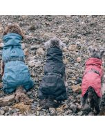 Parka imperméable doublée Hurtta Expedition petits chiens OUTLET