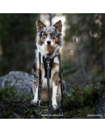 Laisse pour chien multifonction RESCUE à 3 points 150 -300 cm