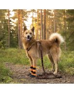 Laisse pour chien extensible Arctic Wolf POWER 236-278 cm noire et orange