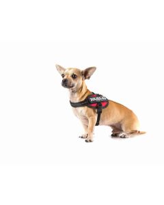 Harnais IDC®Power BABY Julius-K9® pour chiens de 1 à 5 kg