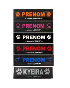 Logos personnalisables pour harnais Julius-K9 texte & couleur au choix