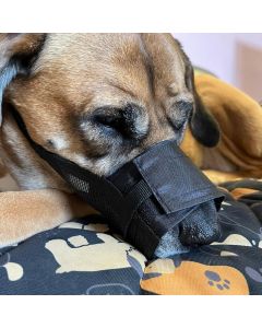 Muselière pour chiens nylon aéré ajustable facile à mettre 5 tailles