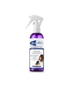  Leucilline: Spray antiseptique naturel pour chien pour désinfecter plaies et problèmes de peau