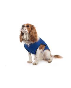 Manteau rafraîchissant pour chiens ANCOL