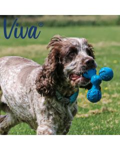 Triangle à friandises pour chiens Viva Treat 15 cm