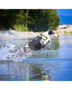 Veste multifonctionnelle IDC® 3en1 Julius-K9® pour chiens