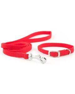 Ensemble Collier et laisse ANCOL en nylon tissé spécial chiots