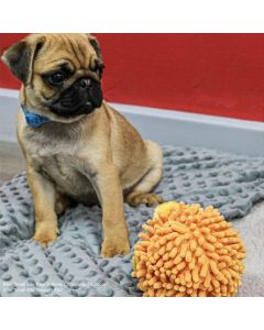 Balle multitexture à couineur Ancol Lion ou éléphant pour chiens