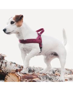 Harnais nordique CASUAL pour chiens Hurtta rembourré en néoprène
