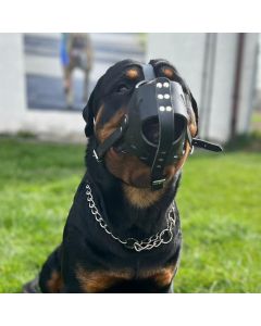 Muselière de frappe Malinois BergerAllemand DingoGear en cuir de vache