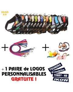 Coffret Julius k9 Harnais personnalisé IDC®Power+ Nom du chien OFFERT!