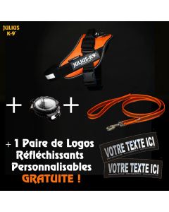 Coffret Harnais Julius VISIBILITÉ personnalisé + Nom du chien OFFERT!