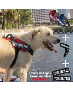 Harnais rafraichissant en Y Julius-K9 Y-Powair + logos au nom du chien OFFERTS !