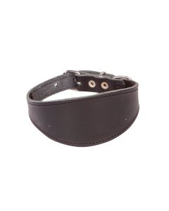 Collier en cuir noir rembourré DINGO pour lévriers et whippets