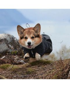 Manteau imperméable DRIZZLE pour chiens avec intérieur en maille aérée Hurtta - Noir