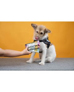 Barre Protéinée Chien 50 g Friandise Hypoallergénique au lapin