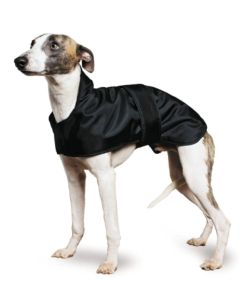 Manteau ANCOL spécial Lévrier Whippet et Greyhound