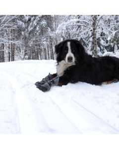 Chaussures chiens neige et froid HALLA LUX semelle TopGrip Paire de 2