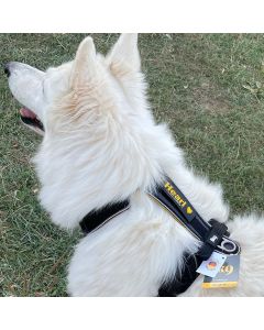 Harnais pour chien personnalisé JK9®Speed Harnais canicross et course