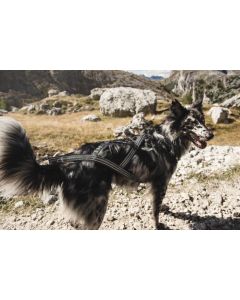 Harnais de traction X-SPORT pour chiens spécial traction Hurtta noir