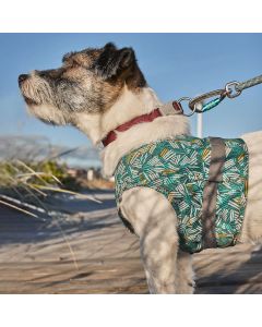 Veste chien réfléchissante Zhero Safety Wrap ECO turquoise Hurtta