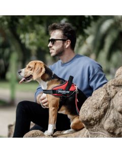 Harnais rafraichissant chien et léger en maille Julius K9 IDC®Powair