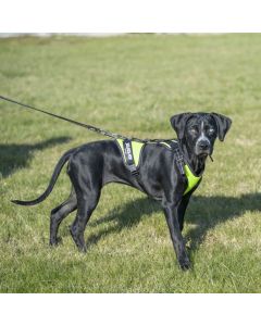Harnais traction chien JK9 Air Mesh Mantrailing en maille jaune fluo