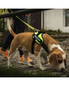 Harnais IDC®Power SMALL - Mini Julius-K9® pour chiens de 4 à 15 kg