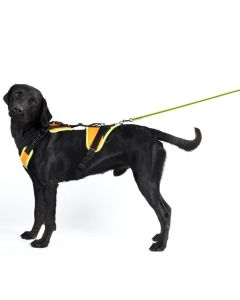 Harnais de pistage JK9 Mantrailing pour chien orange fluo ou noir