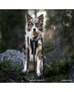 Laisse pour chien multifonction RESCUE à 3 points 150 -300 cm