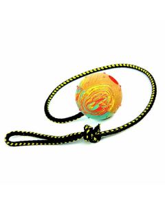 Balle à rapporter avec corde Jouet interactif pour chien de 6 cm
