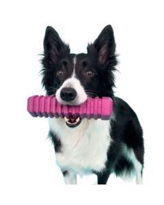 Bâton pour chiens STICK 5 violet