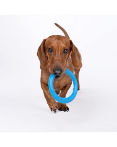 Frisbee chien SKY RINGS pour chien a tirer jouet en caoutchouc naturel