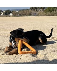 Jouet aquatique chien flottant rucan TriWater caoutchouc solide 