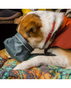 Gamelle pour chien GREAT BASIN™ étanche pliable réfléchissante 1 L