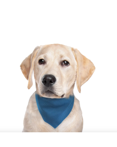 Bandana rafraîchissant pour chiens FouFit