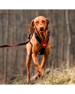 JK9®Speed le meilleur harnais chien en Y à poignée polyvalent Julius-K9