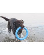 Anneau PitchDog jouet idéal pour les chiens actifs
