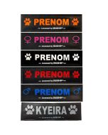 Logos personnalisables pour harnais Julius-K9 texte & couleur au choix