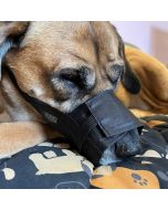 Muselière pour chiens nylon aéré ajustable facile à mettre 5 tailles