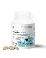 Comprimés diarrhée pour chien Dr. SAM DarmGutTab problèmes intestinaux