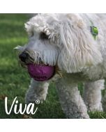 Balle à friandises pour chiens Ancol Viva Treat 8 cm
