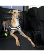 Adaptateur pour ceinture de sécurité de voiture Julius-K9®StopDog
