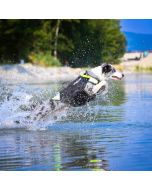 Veste multifonctionnelle IDC® 3en1 Julius-K9® pour chiens