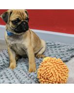 Balle multitexture à couineur Ancol Lion ou éléphant pour chiens